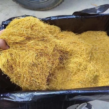 云南土特产