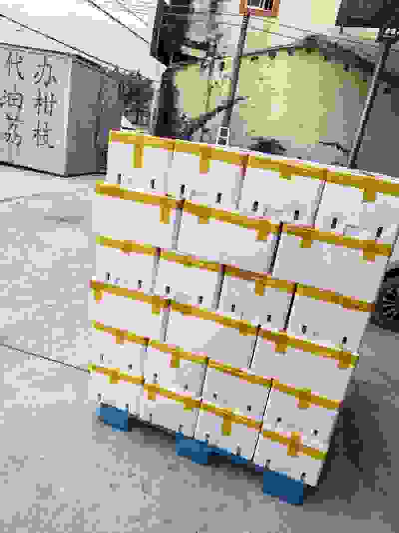油柑果代办
