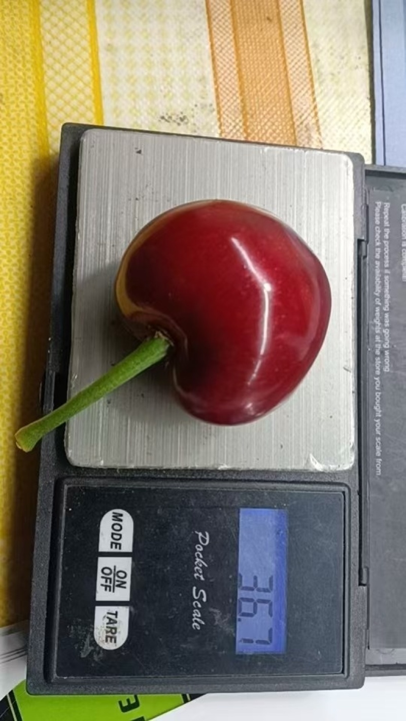 【樱桃】陕西樱桃，美早樱桃。大量供应提供一条龙服务