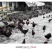 散养跑山鸡