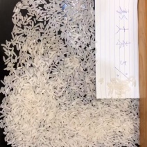 泰国大米