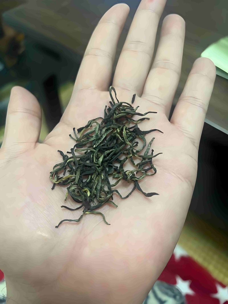 江苏省南京市溧水区傅家边碧螺春茶叶当季采摘现加工