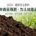 发酵纯羊粪，国标有机肥