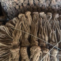 甘肃精品当归规格齐全全国发货可视频看货可协助找车