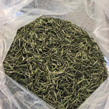 阿文绿菜茶🍵