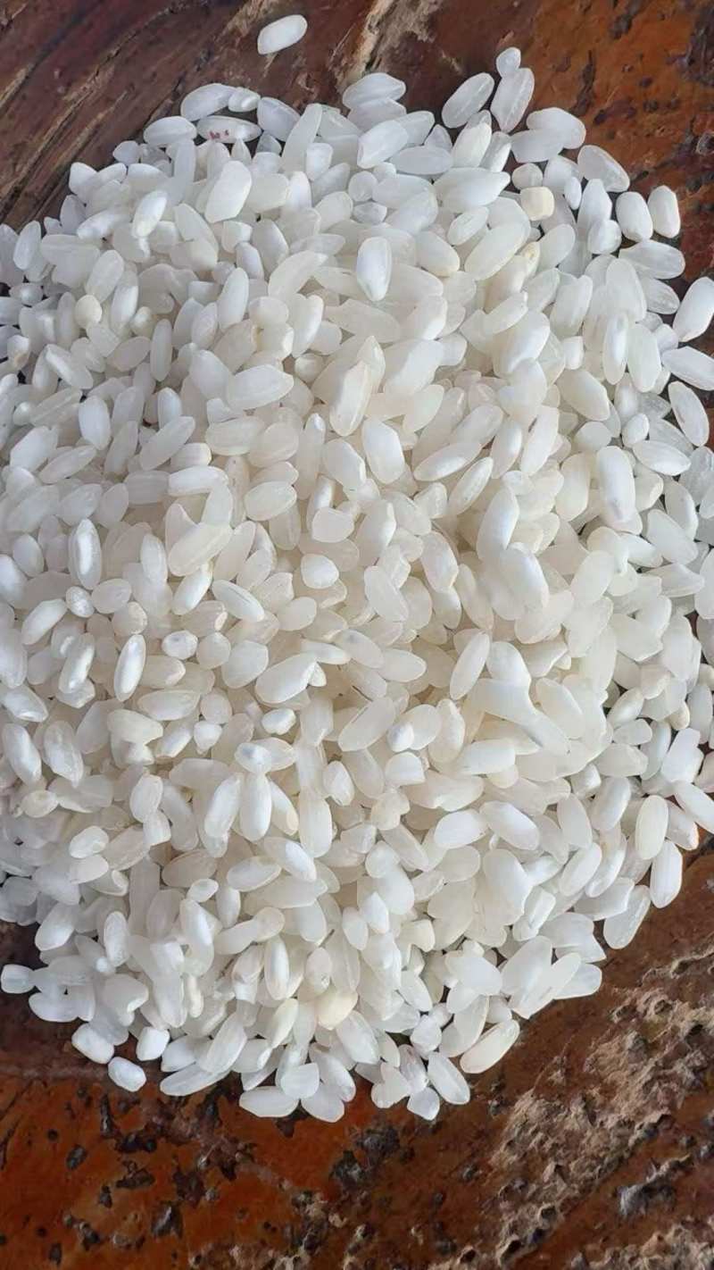 特级桂朝
