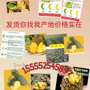 凤梨代发香蕉代发（电商代发）批发走车