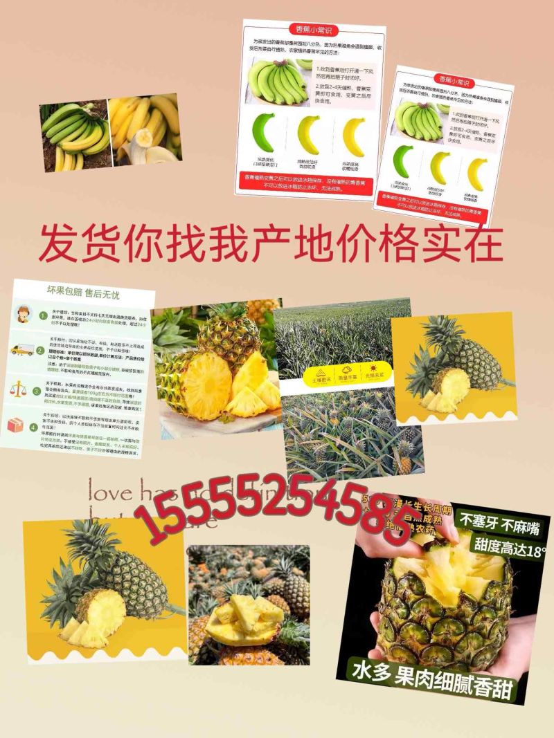 凤梨代发香蕉代发（电商代发）批发走车