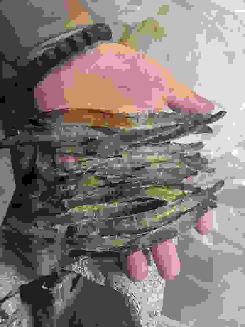 地龙
