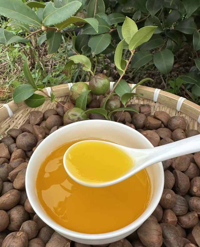 永州山茶油
