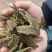 棉籽饼有机肥料