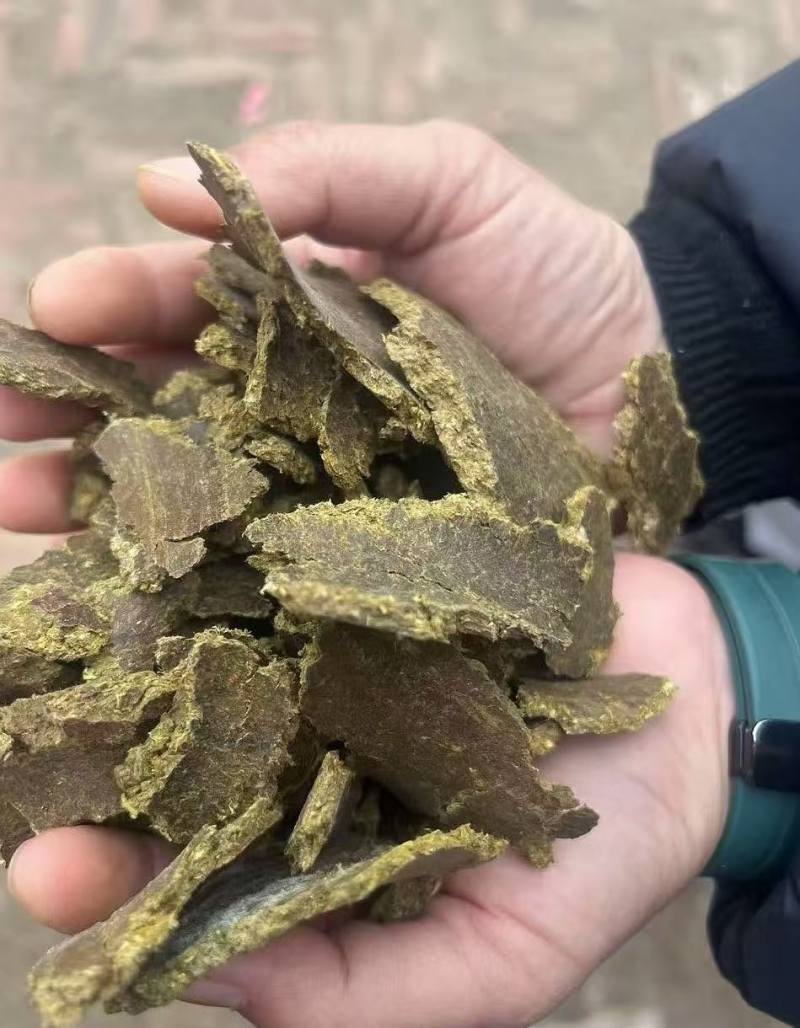 棉籽饼有机肥料