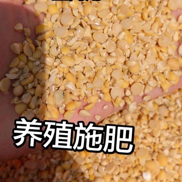 碎黄豆