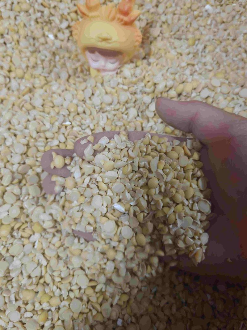 碎黄豆