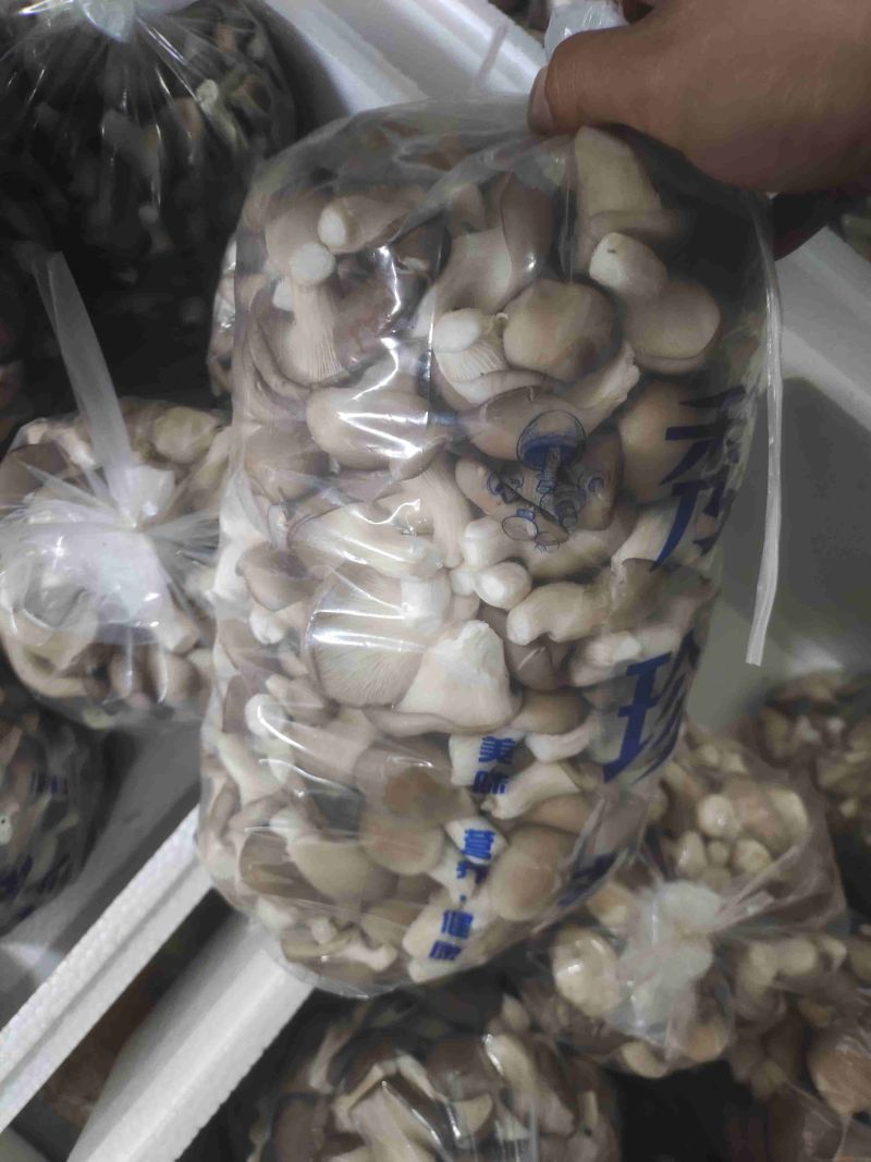 秀珍菇，姬菇