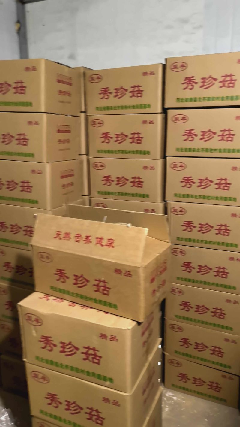 秀珍菇，姬菇