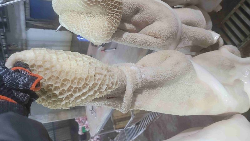 牛肚