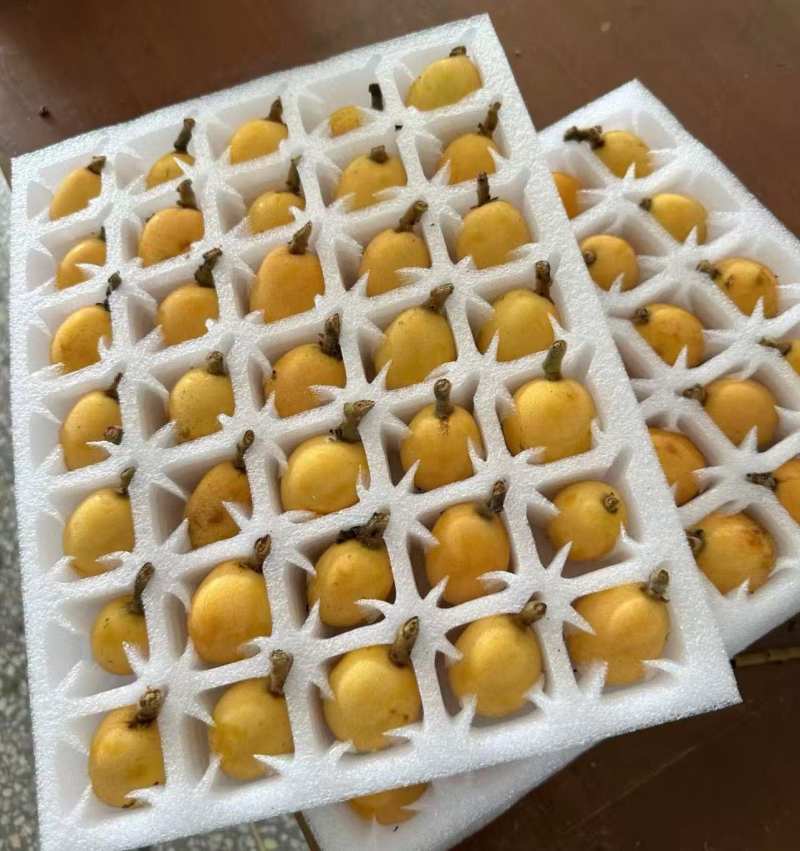 白玉，白沙，塘栖枇杷