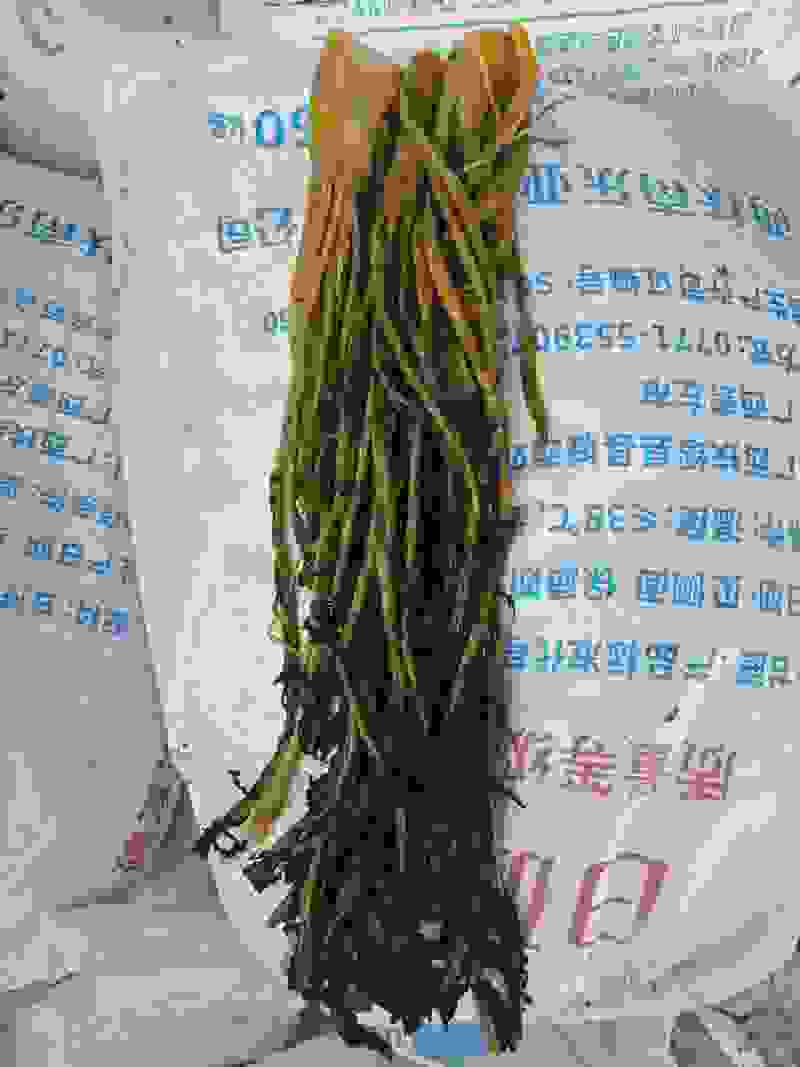 酸菜，半成品雪里蕻，梅干菜，