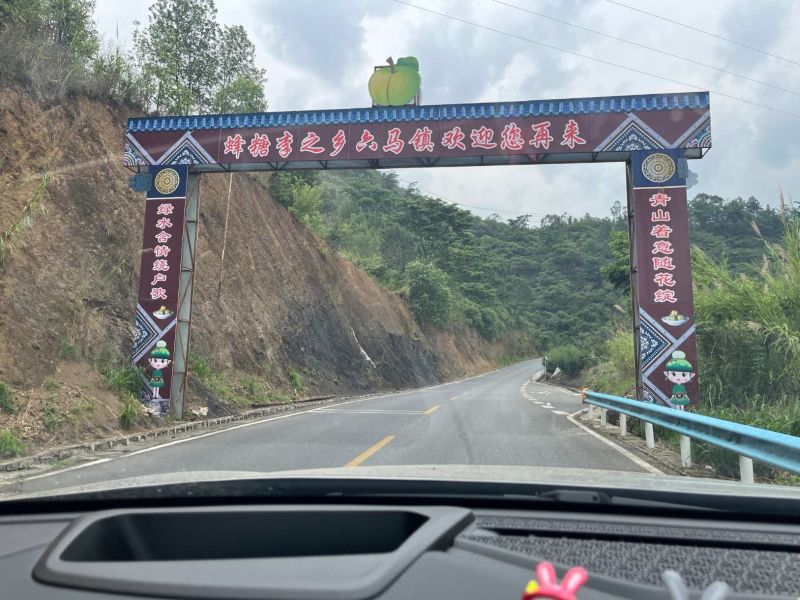 蜂糖李