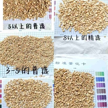 精品党参片，产地直发