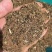 销售各种草粉撒泼高蛋白原料。
