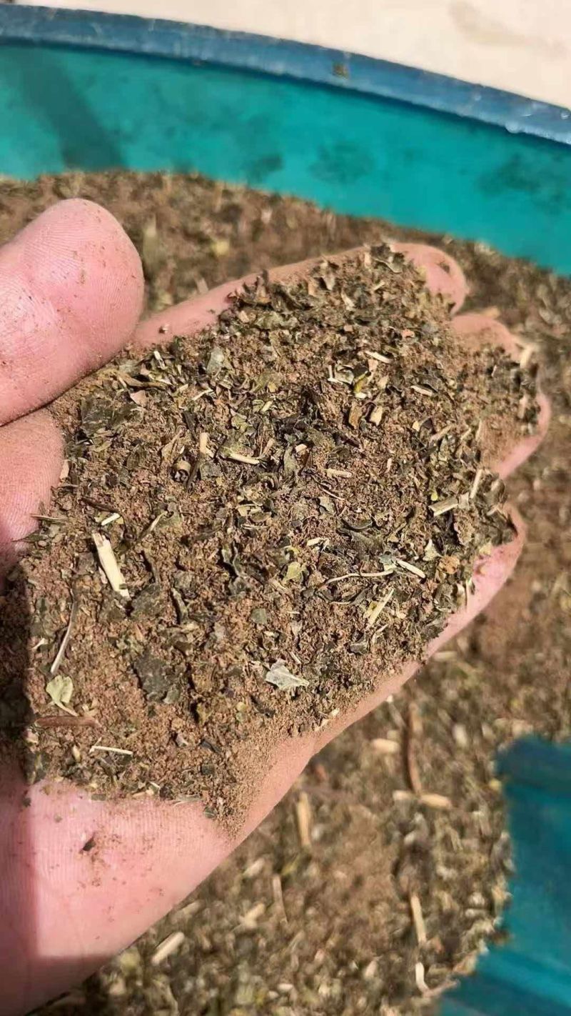 销售各种草粉撒泼高蛋白原料。