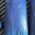 香葱