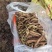 贵州精品四叶参量大从优欢迎采购