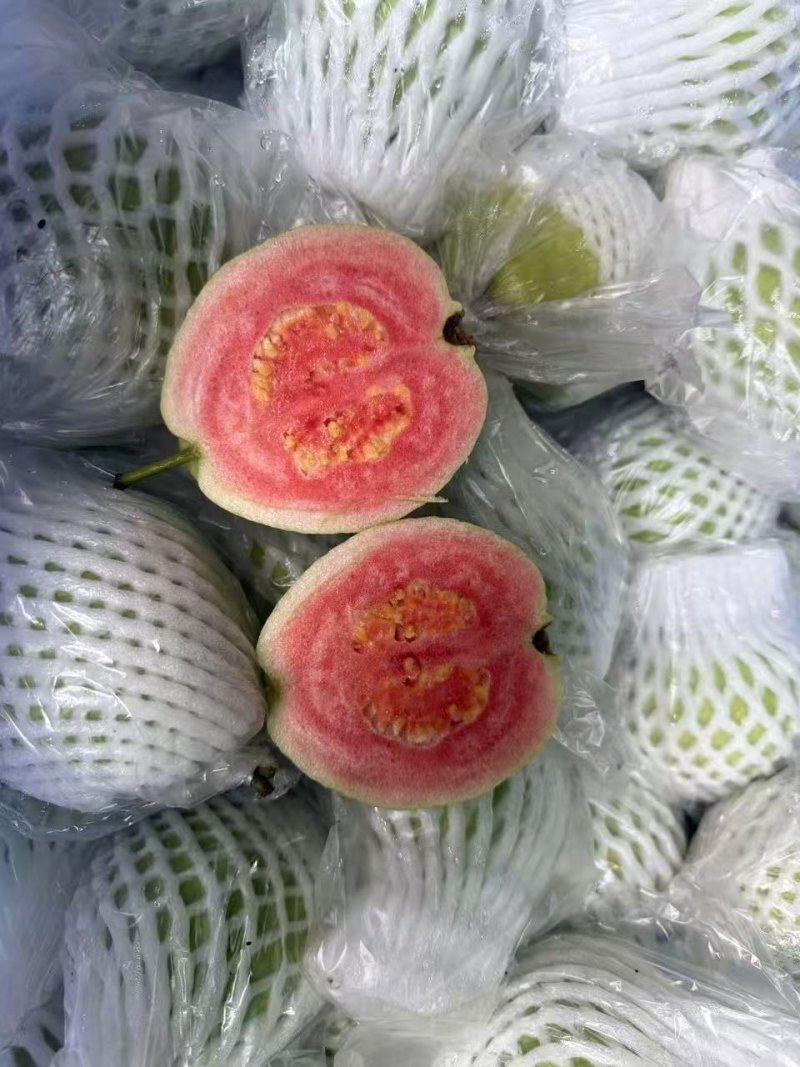 西瓜芭乐