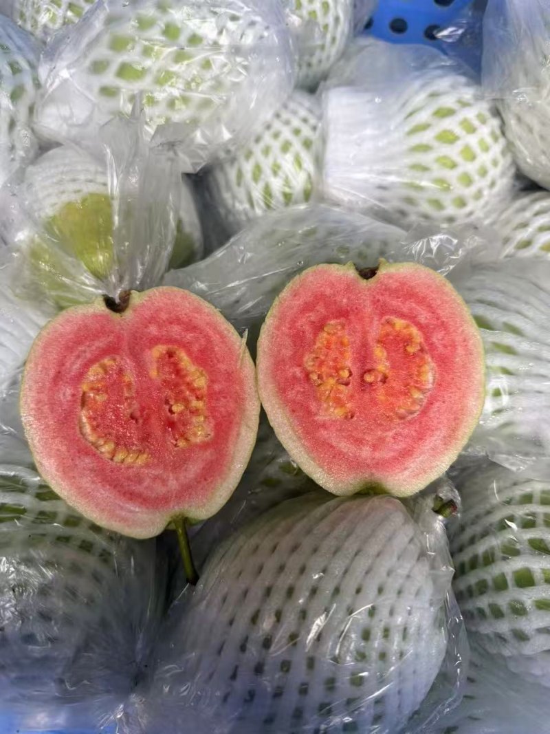 西瓜芭乐