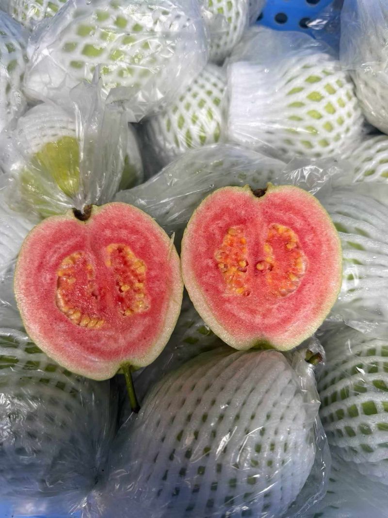 西瓜芭乐