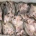 ‌臭鳜鱼“闻着臭、吃着香”肉紧实、富有弹性‌，蒜瓣状‌.