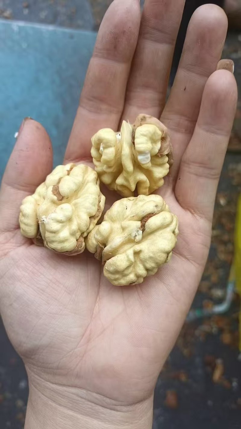大优鲜核桃