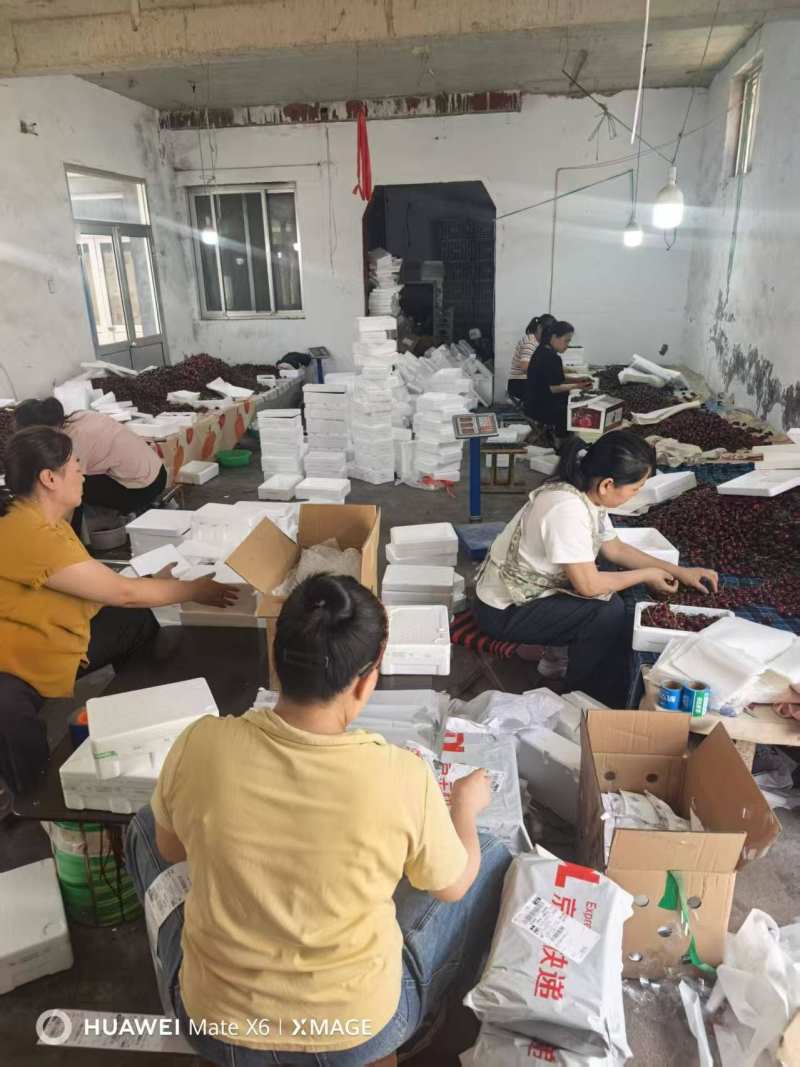 【电商一件代发】山东烟台大樱桃电商，可以定制
