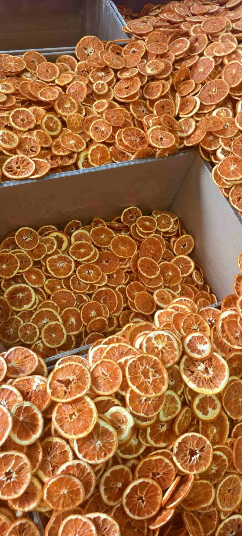 干橙子片红片中华血橙