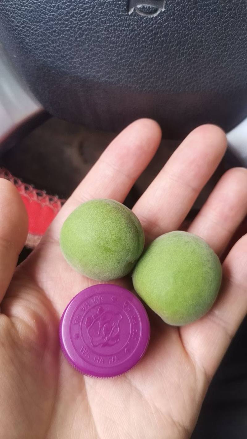 各种梅子
