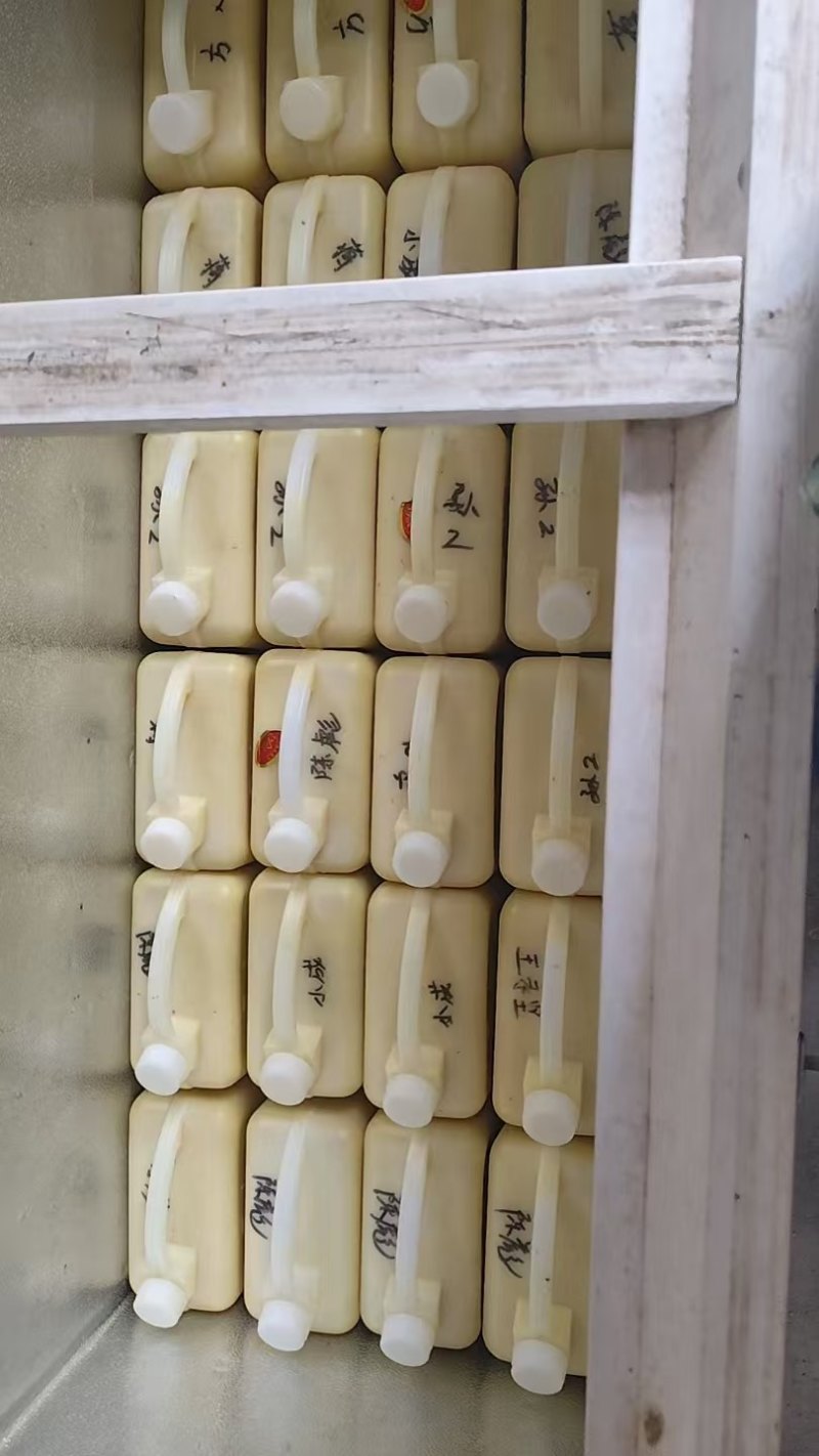 保鲜速冻蜂王浆