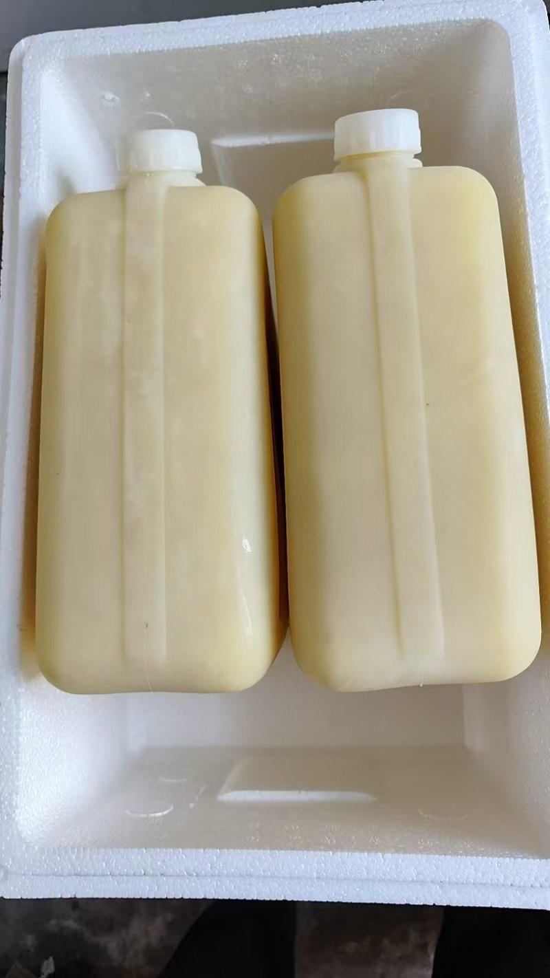 保鲜速冻蜂王浆