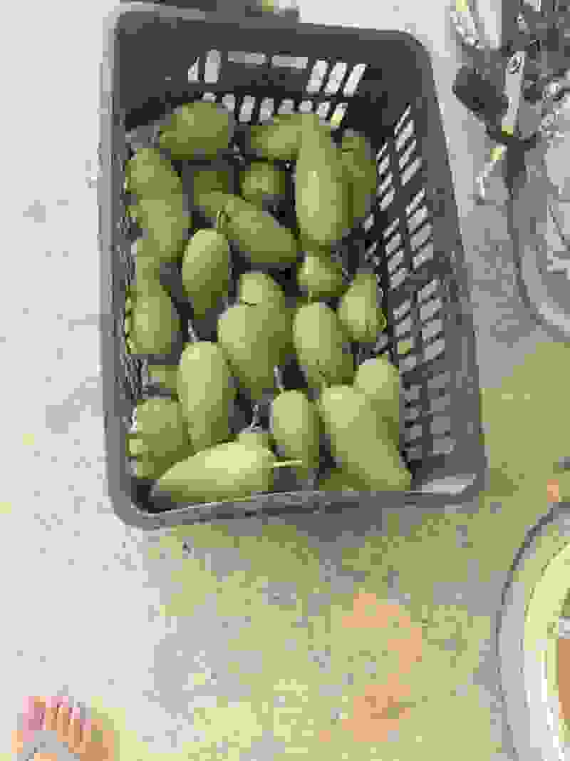 诚信经营