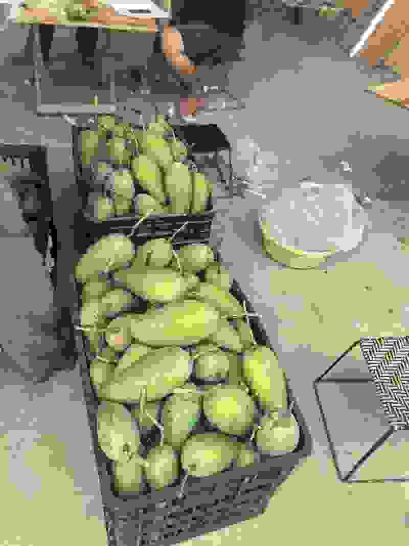 诚信经营
