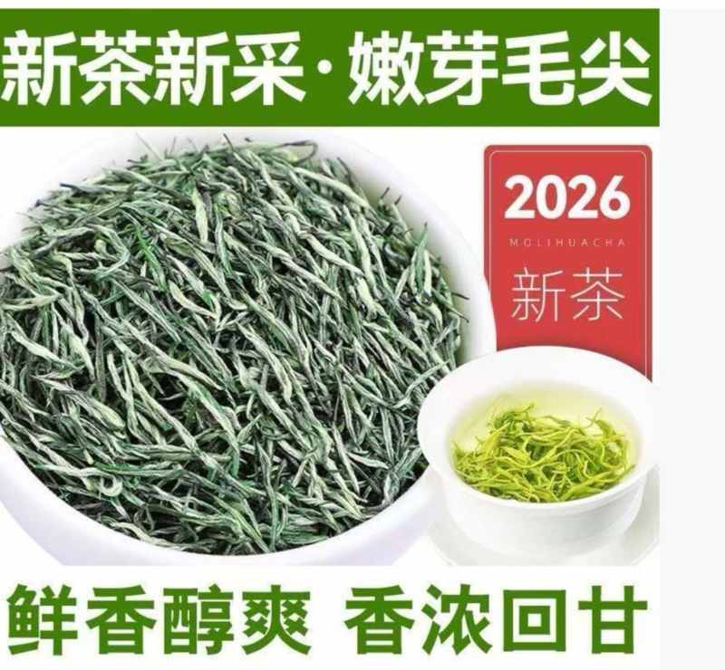 特级雨毛尖新茶