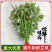 端午节艾草