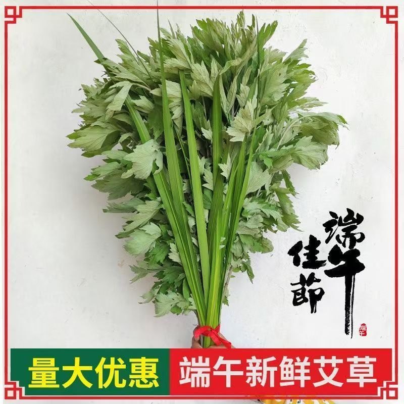 端午节艾草