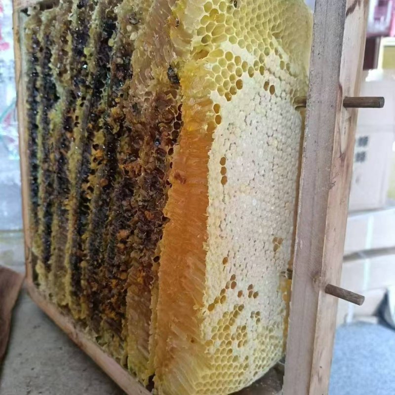 土蜂蜜百花蜜