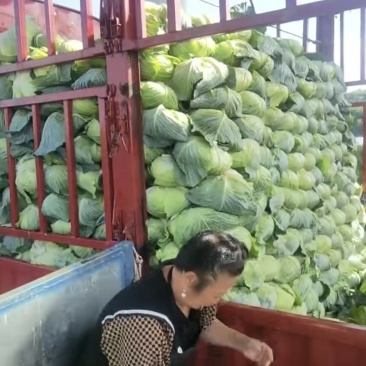 飞腾