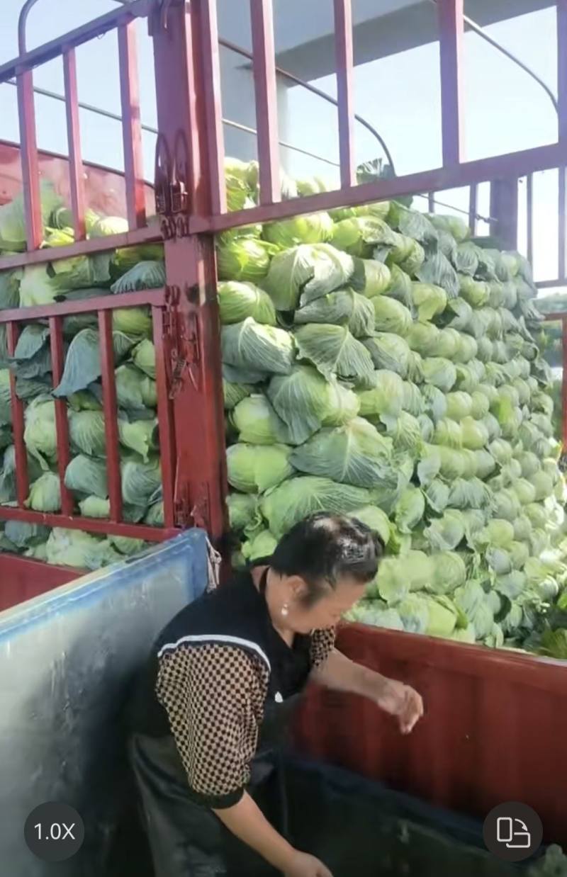 飞腾