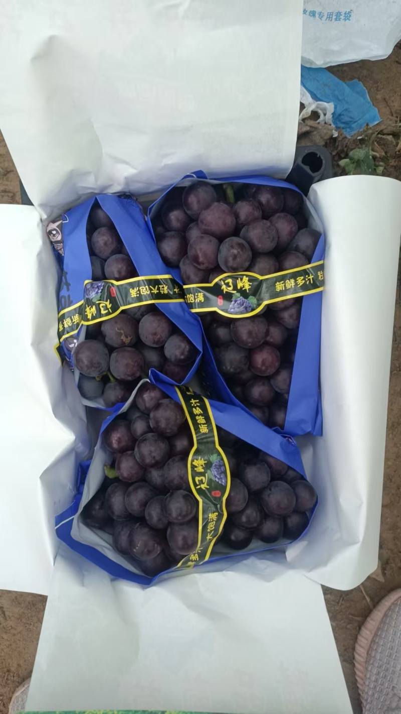 精品葡萄，巨峰，阳光玫瑰