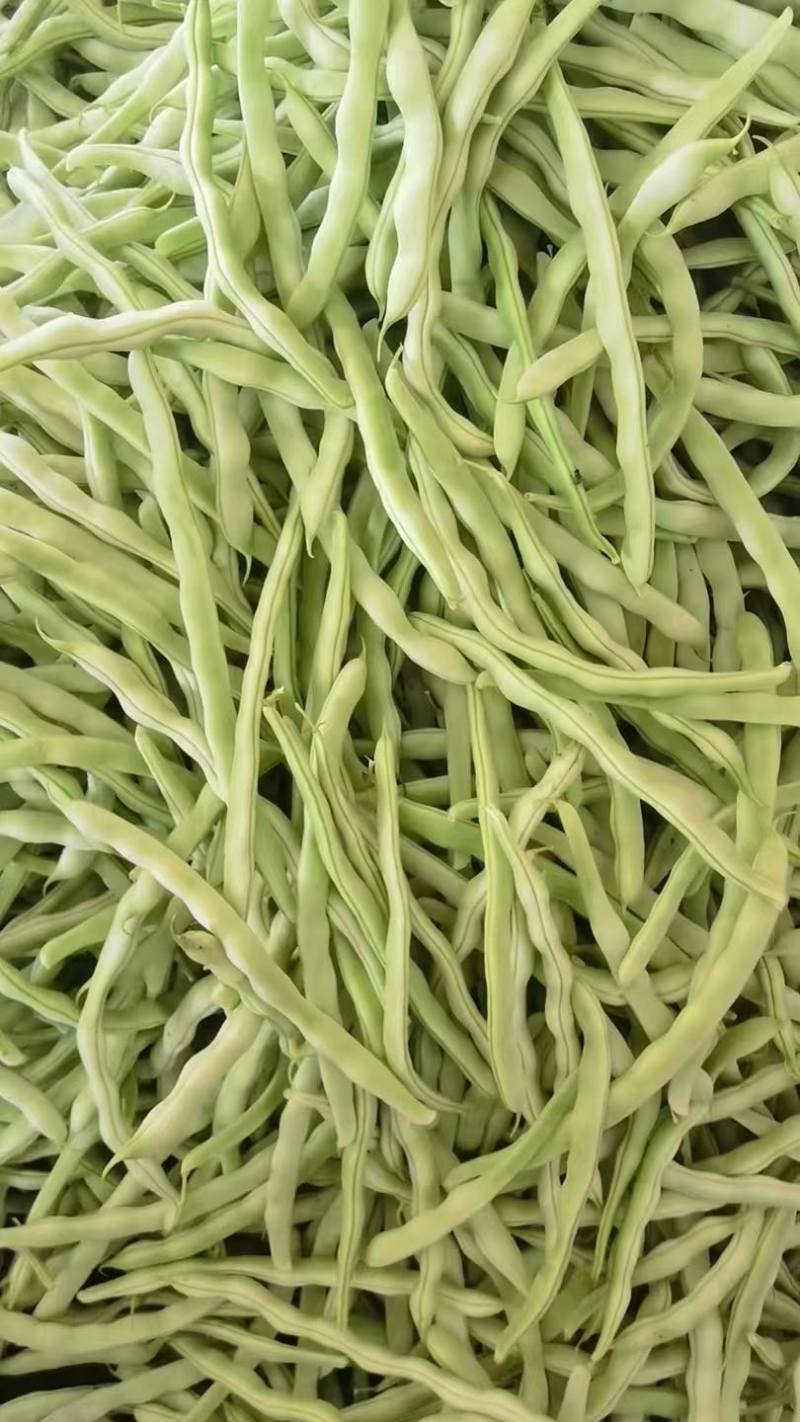 白豆角大量上市，产地直供，货源充足，欢迎全国各地客商采购