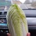 精品大小娃娃菜。无苔无点无烧心